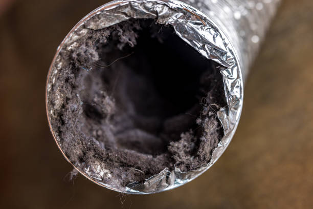 Best HVAC Air Duct Cleaning  in Madison, IL